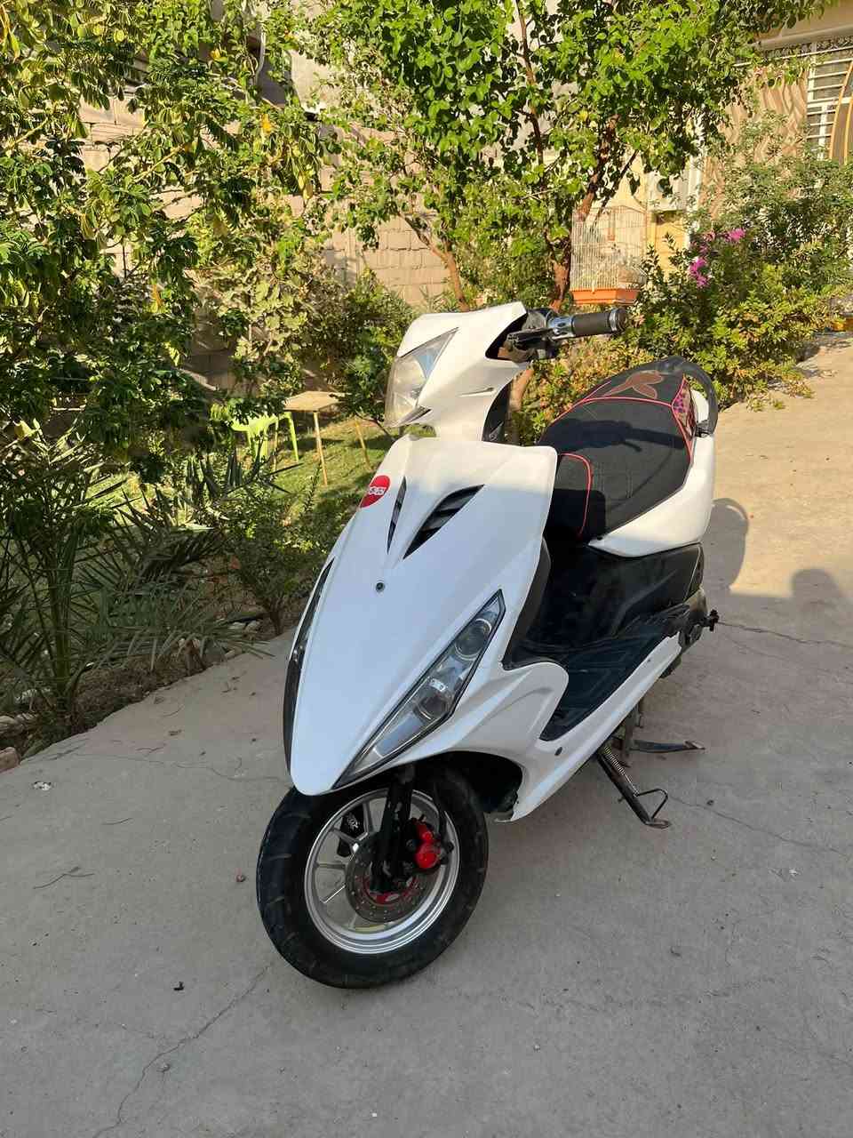 السلام عليكم
للبيع ماكس مضلع كابريتر بوشه ٤٩ بلاديه سلف بلادي جاهزه من كلشي كهربائيات سلف وهندر كيج سرعه كيج بانزين كله شغال ويل رياضي مــآ بيهــآ اي نقص سعرها ٤٧٥ وبيها مجال 

عنوان / حلة _ شارع ٨٠ مال النجف _ قرب حلويات ومعجنات لبنان

***********
