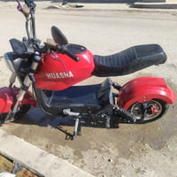 دراجة شحن • ٦ بطاريات • الجزيرة السياحية