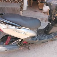 ثعلب • نظيفه • سلف