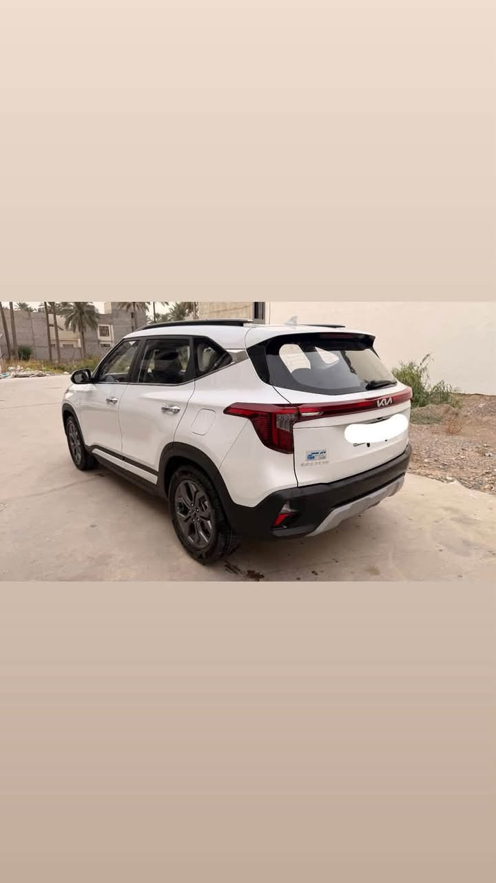 سيلتوز • ٢٠٢٥ • رقم بغداد