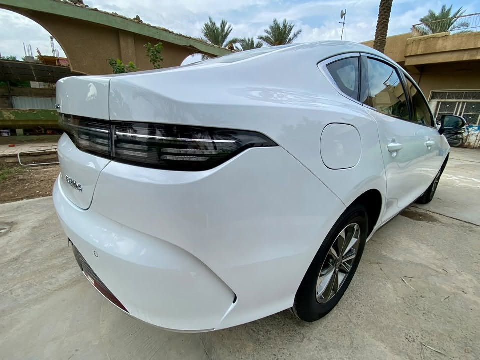 جديدة • ٢٠٢٥ • ماشية ٨٠٠