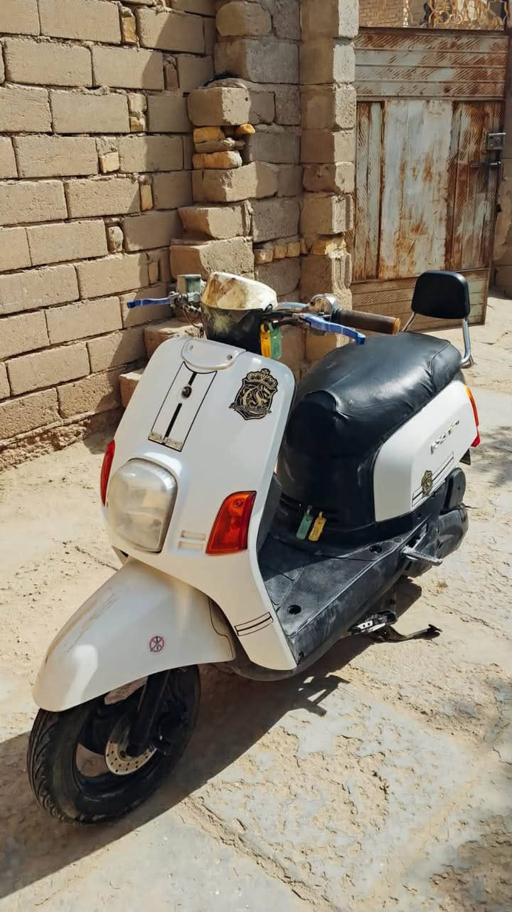 ماكس بوليس • شغاله • سلف