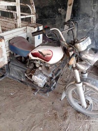 ستوته • فحل • الجبايش