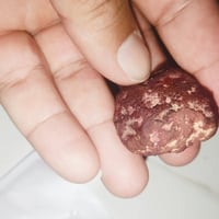 كاولي • رباني • توصيل