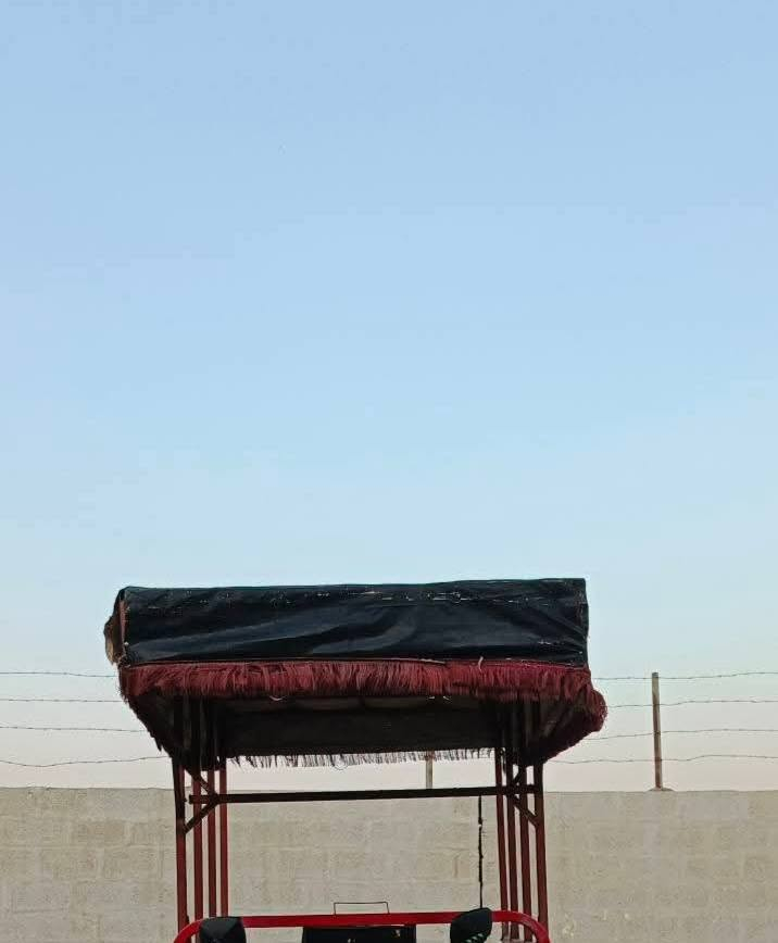 جنج للبيع مال بكاله مخضر سعر110 الشاري يتصل خاص ماجوب ***********
