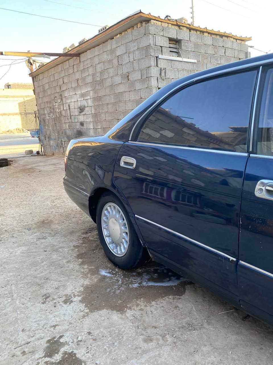 مديل 94 • بطة • مكفولة