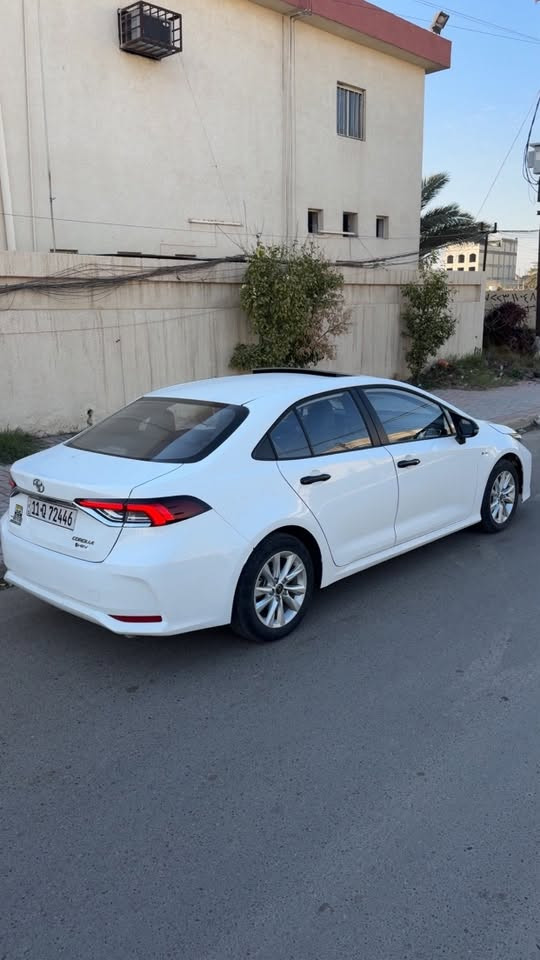 كورلا هايبرد شكل خليجي 2024 رقم بغداد 
ماشية 89 الف كيلو 
بارد شي قليل كلش بجاملغ امامي عكس السايق ع كد 4 اصابع 
وطخة بسيطة ع وضعهة بقبق الصندوق
سيارة مال جناي نضيفة كلش ع ايدي مشتريهة زيرو ب 2024 
 
تخم تاير جديد قبل سبوع شادة 
بانزين محسن ادير بس هسه بلازمة ادير عادي واصلا مدك دوانز الكورلا بلعادي 

سعر 145 وبي مجال بسيط وماكو هيج سعر بلسوك 
سيارة يحتاجلهة بس واقية مال تاير امامي ب 40 الف هية وشدهة بس ماعندي مجال اسويهة 

مكاني بغداد حي العدل 
***********
