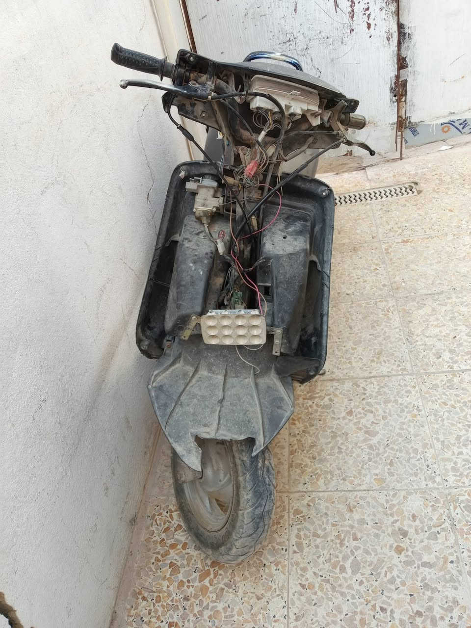 فراشه • ١٢٥ • ميسان