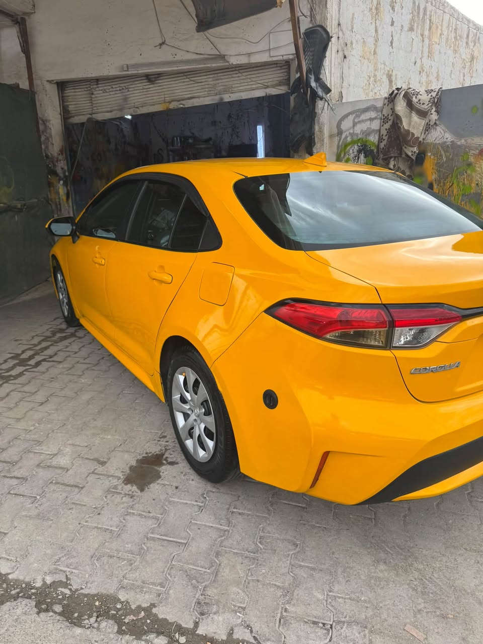بولش • تكسيات • شهر كامل