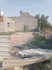 طابو زراعي • تحويل ثاني يوم • ٢١٠م