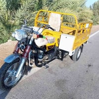 ستوته ام طير • ٢٠١٧ • اوراق أصولية