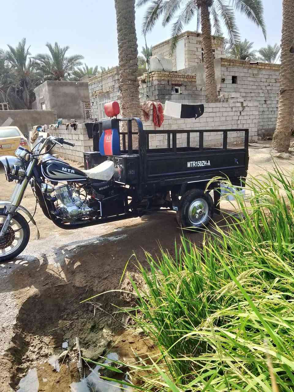 ستوته • موديل ٢١ • كفاله عامه