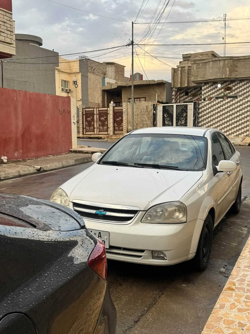 اوبترا • ٢٠١١ • بدون صبغ
