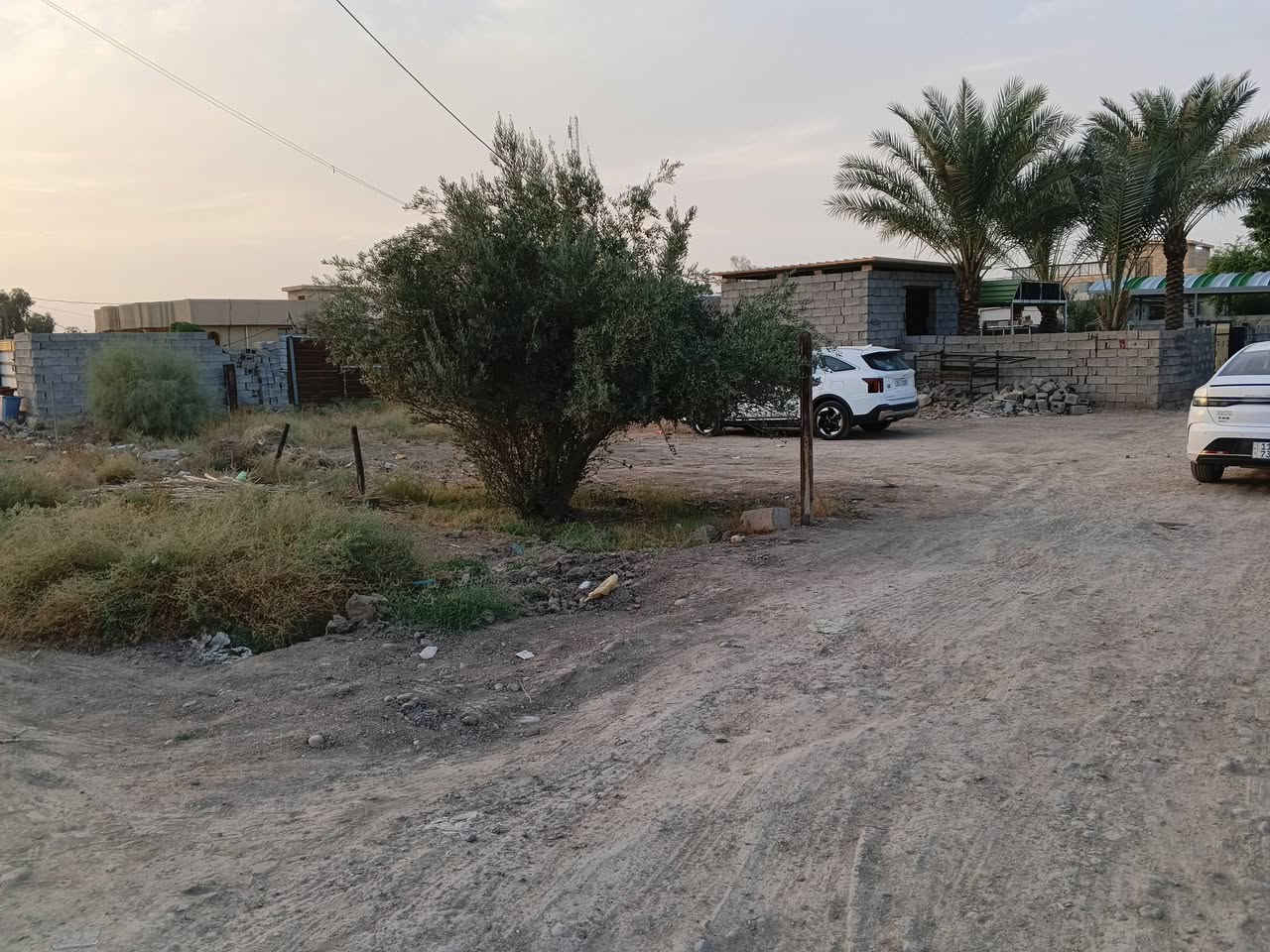 أبو غريب الشيحه • ٤٠٠م • طابو زراعي