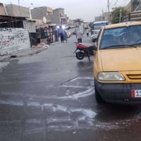 سايبا ١٢ • تبخير قليل • رقم بغداد