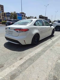 كورلا • ٢٠٢٠ • وارد امريكي