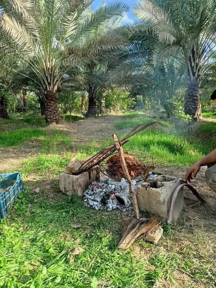 ياالله
للبيع دوانم في بغداد منطقه الراشديه

جنس العقاري سند ٢٥ تحويل بأسم المشتري يتوفر فيه جميع الخدمات ماء اساله وماء روئي وكهرباء ويوجد فيه نخيل وحمضيات للأستفسار اتصل على رقم او مراسلة ***********
