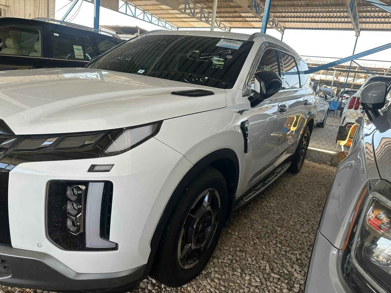 باليسايد • ٢٠٢٣ • باب صبغ