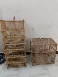 قفاص بلابل • نضيفات • كربلاء