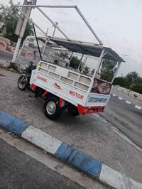 ٢٠١٦ • مصبوغ • نمر