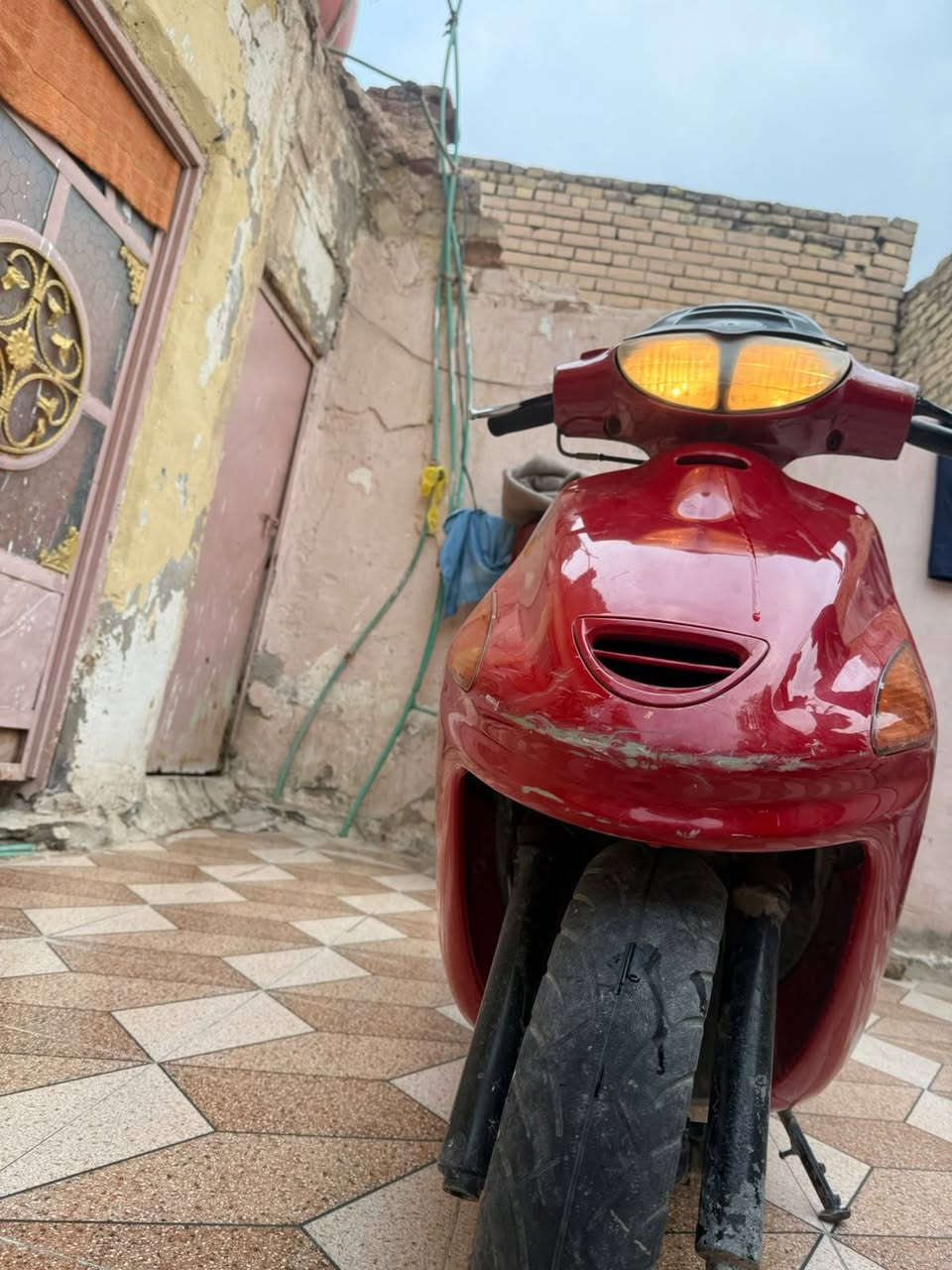 فراشه • فحل • معدل