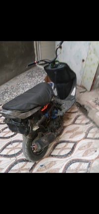 فراشه • شغاله • كرنك جدد