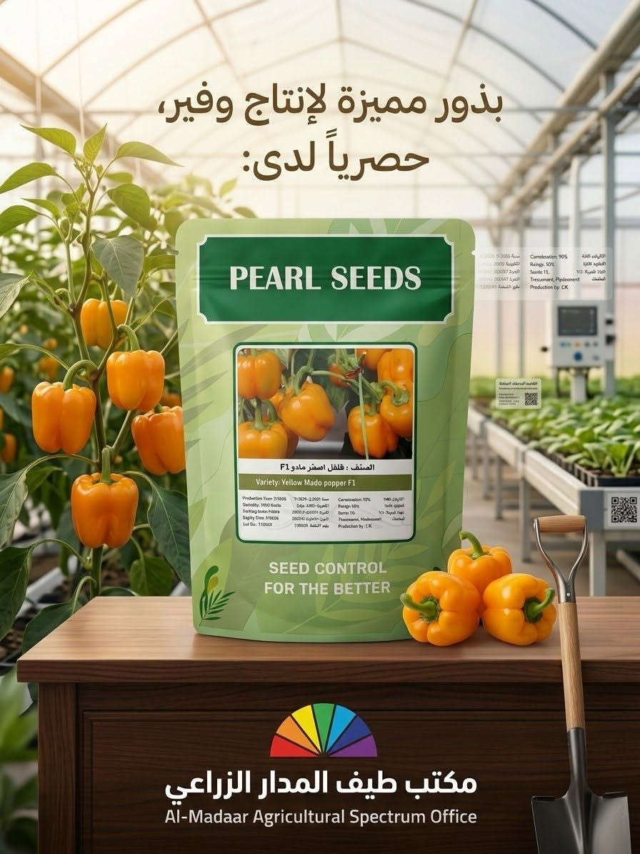 طيف المدار • قرية العباس • بذور ف1