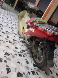 سلفيز • موطور • الدجيل