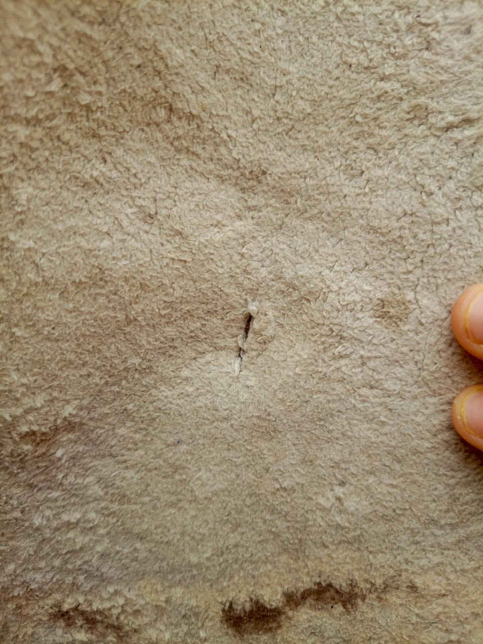 كاربت • ٣/٤ • قابل تفاوض