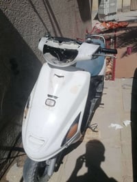 فراشة • مستعجل • بيه مجال
