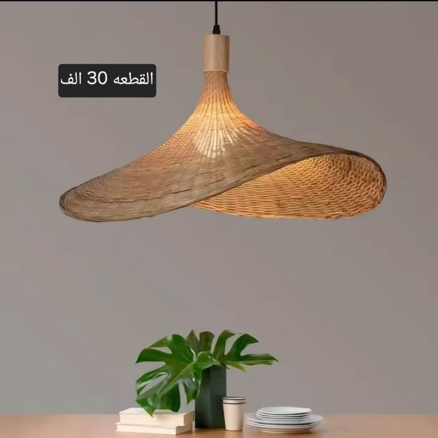 ✨ أناقة البوهيميات والتعاليق المميزة من أضواء الياسين للإنارة الحديثة ✨
💡 تشكيلات مميزة من التعاليق الخاصة والتعاليق الراتنجية المصنوعة من الفوم المضغوط، بتفاصيل دقيقة وتصاميم عصرية تضيف لمسة فخامة وجمال للمكان.
🏠 مناسبة للصالات، غرف المعيشة، غرف النوم والمداخل، وتتوفر بتصاميم وأحجام متنوعة لتناسب مختلف الديكورات.
🚚 توصيل لجميع المحافظات 💰 أجور التوصيل 5,000 دينار فقط
📍 العنوان: بغداد – الشورجة – عقد النصارى – قرب البنك المركزي
📞 للطلب والاستفسار: *********** ***********
🔖 أضواء الياسين للإنارة الحديثة كل تفاصيل الإنارة الحديثة والتراثية في مكان واحد.
#أضواء_الياسين #إنارة_حديثة #إنارة_منزلية #بوهيميات #تعاليق #تعاليق_راتنج #فوم_مضغوط #ثريات #إنارة_ديكور #ديكور_منزلي #ديكورات_عصرية #إنارة_الصالونات #إنارة_غرف_النوم #إنارة_مداخل #إنارة_فخمة #بغداد #الشورجة #عقد_النصارى #توصيل_لجميع_المحافظات #العراق

نص مكتوب في الصور:
- القطعه 25 الف
- القطعه 45 الف
- القطعه 30 الف
- 24 × 35 سم القطعه 50 الف
- 45 * 50 سم سعر القطعه 80 الف