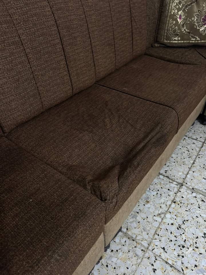 تخم • كنبة • مثل بالصورة