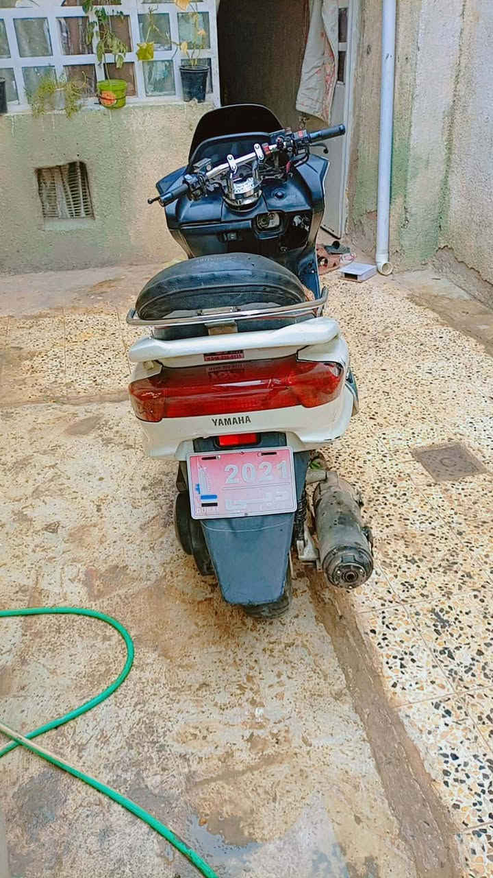 ماجستا • ٤٠٠ • ديالى