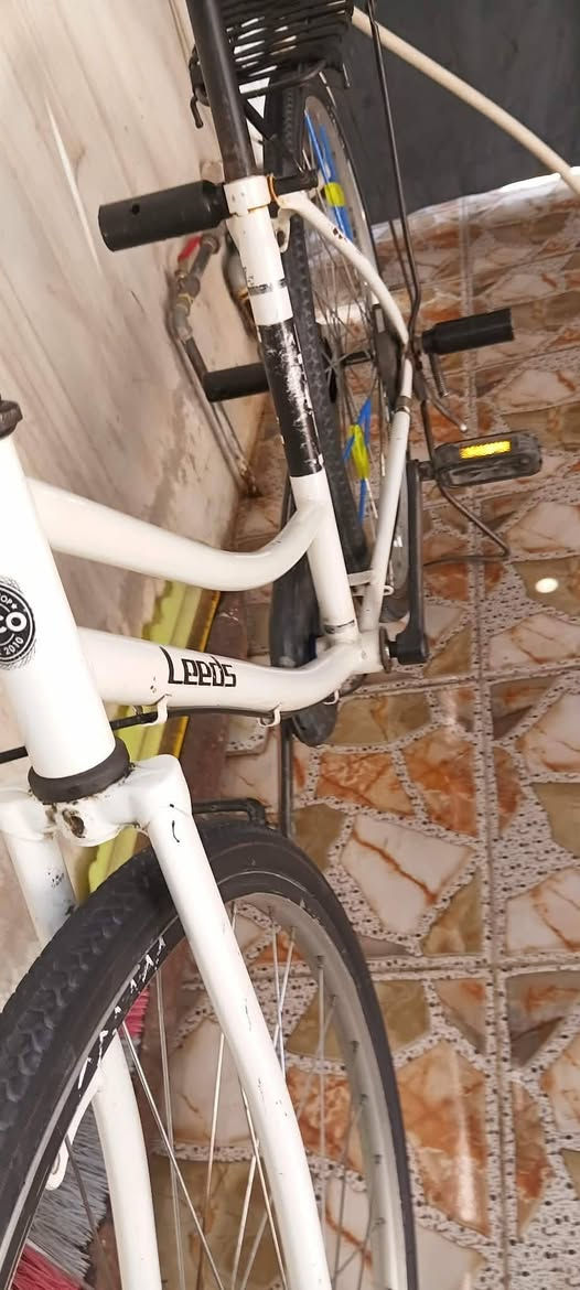 سلام عليكم للبيع فقط بدون مراوس
 عبدالحليم حجم 26 شركه Leeds
نضافه كدام العين غراضو كامله بريك كدام شغال جاملغات موجودات
 السعر 80 وبي مجال بسيط شراي اتصل عل رقم                  ‌،*********** بي واتساب
