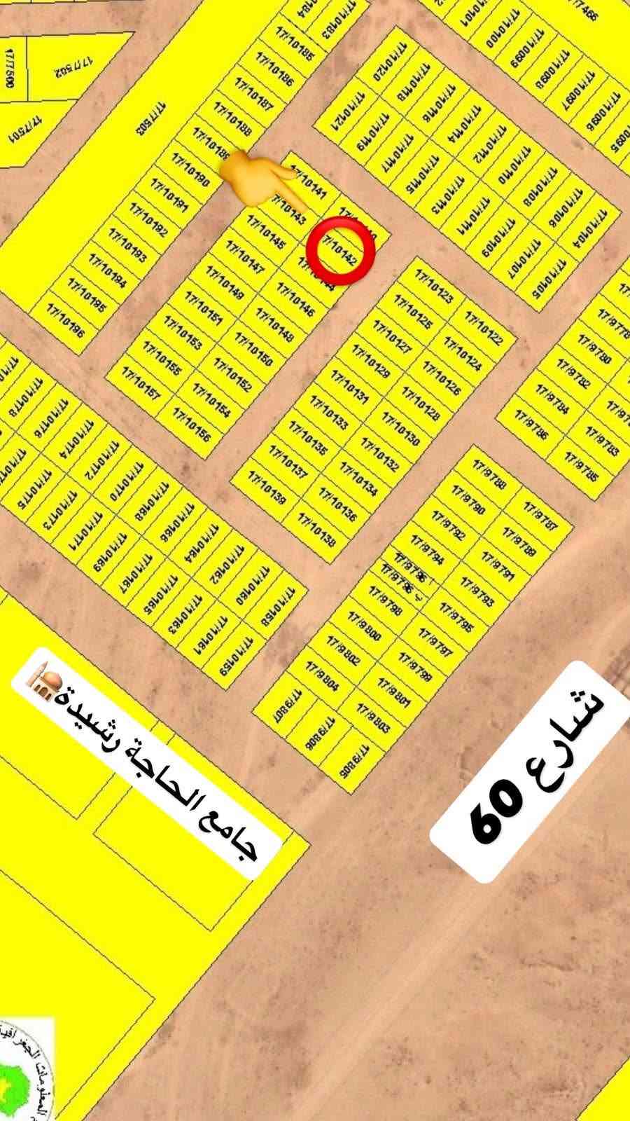 الديوم الحاجة رشيدة • ٢٢٥م • بصف الجامع