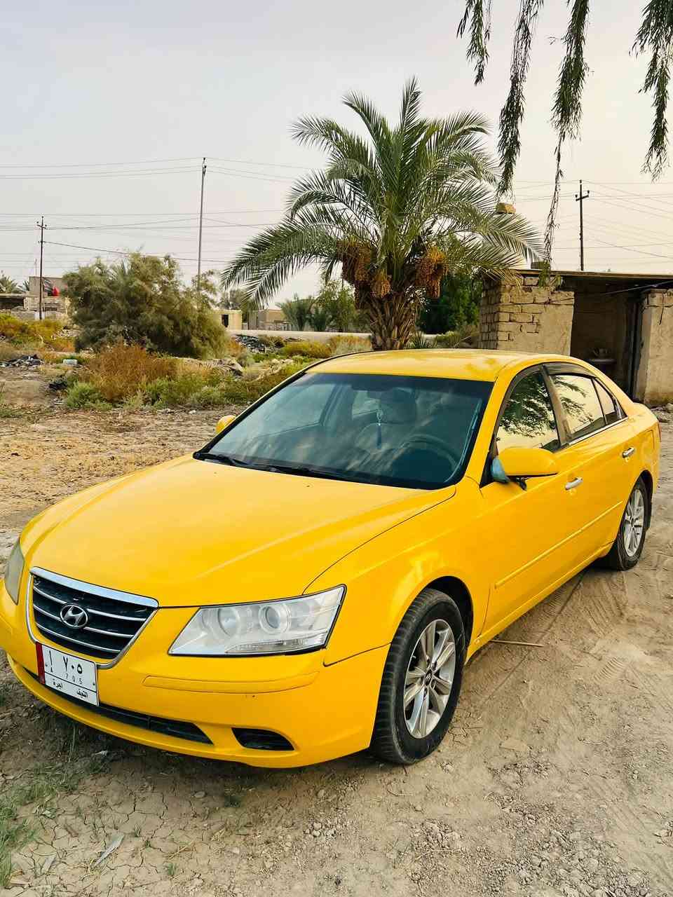 سوناته • ٢٠٠٧ • رقم نجف