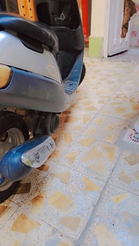 اكسن ڱڵـه • شغاله • سلف