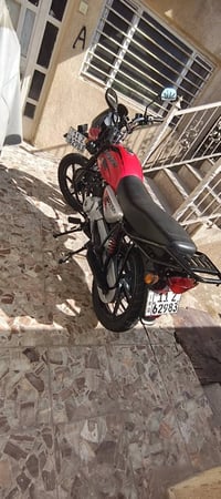 بوكسر • أحمر • ٢٠٢٣