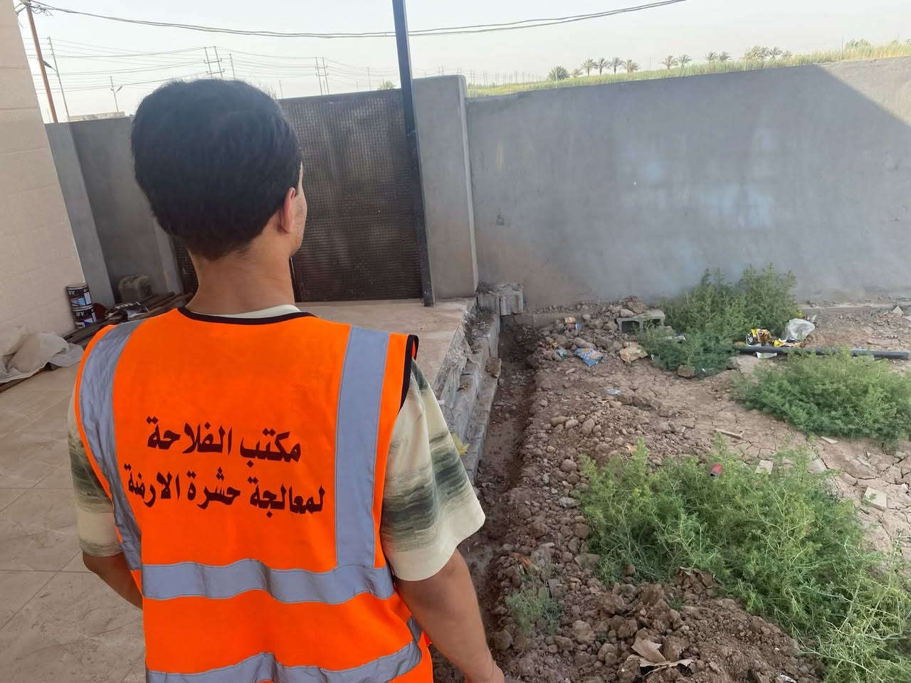 مكافحة الأرضة • ضمان ٥ سنوات • دوام ٢٤ ساعة