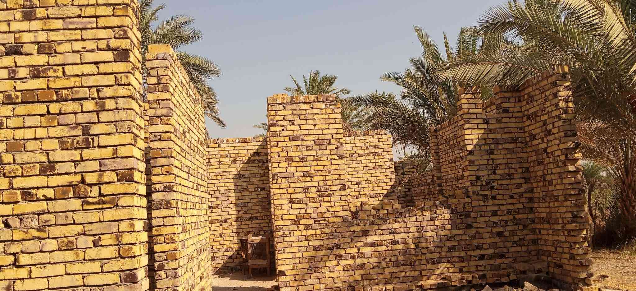 طريق العلويه شريفه • ٢٧٠٠م • ٢٨ نخلة