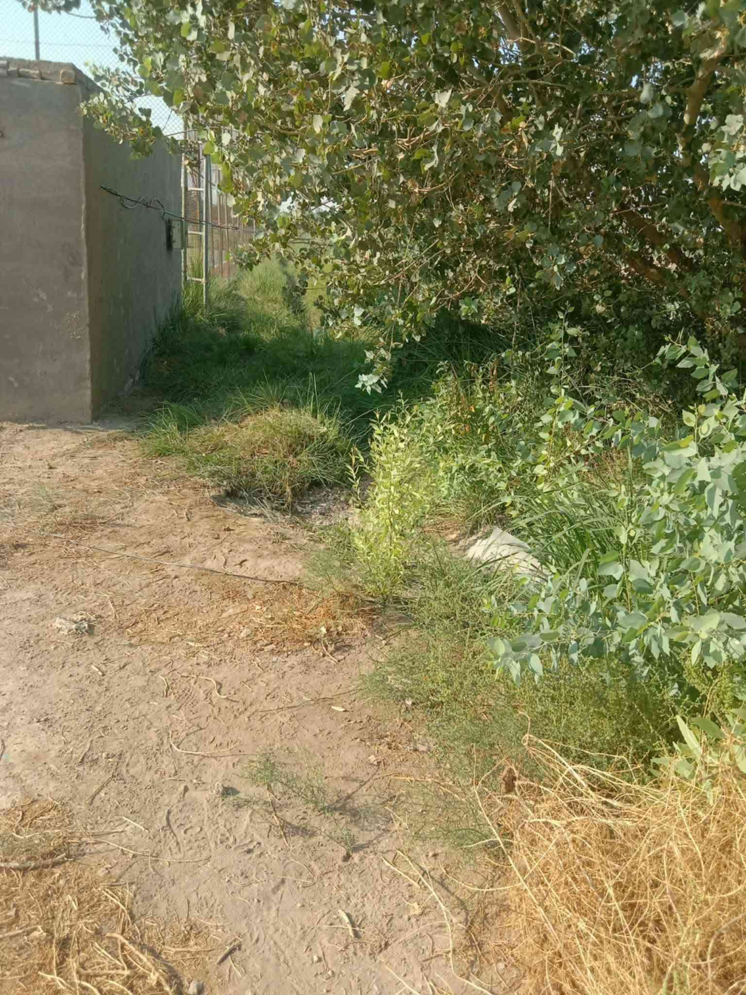 ٢دونم • على الشط • السنيه البو نائل