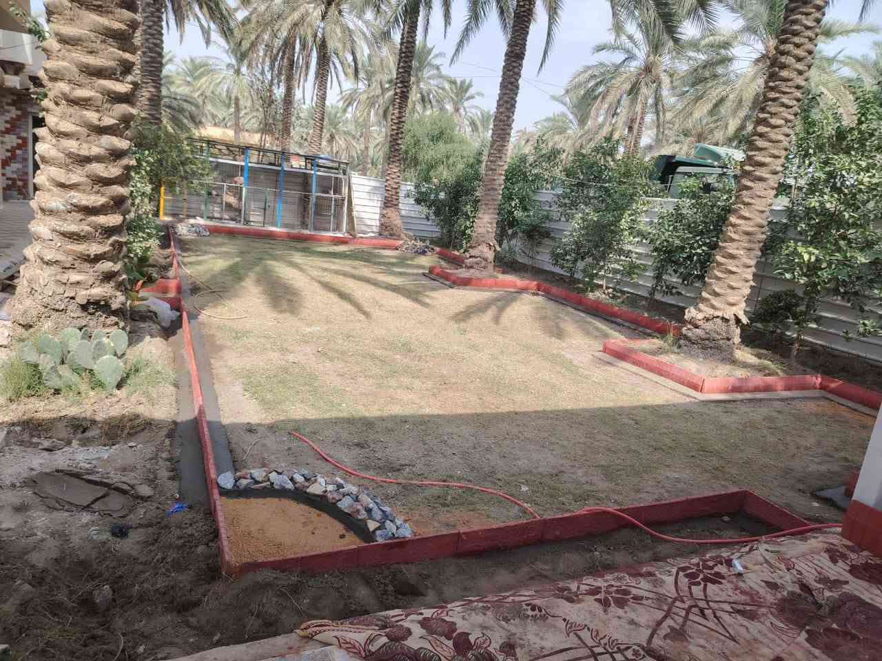 تنسيق حدائق • بستنة • حديقة تخبل