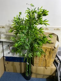 شجره زينه • اصطناعي • النجف