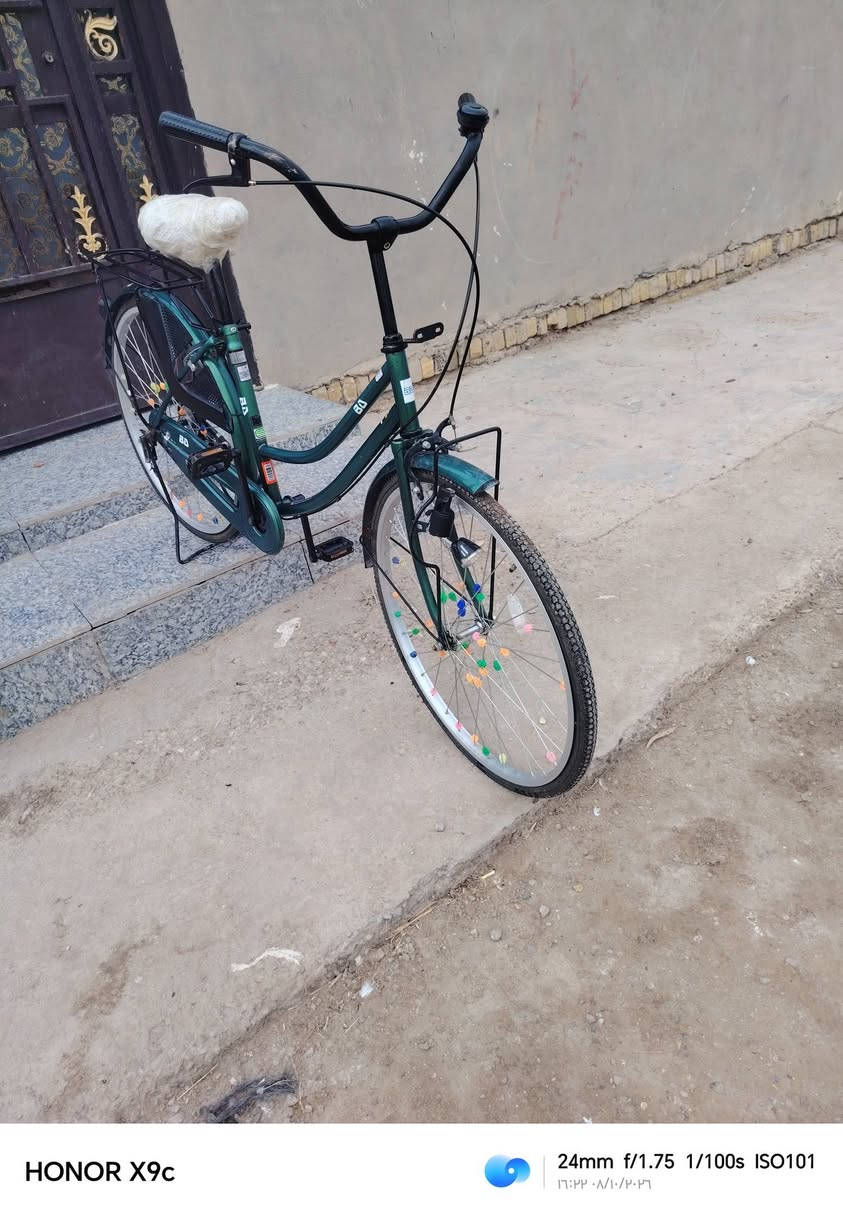 باسكل • ٢٦ • جديد