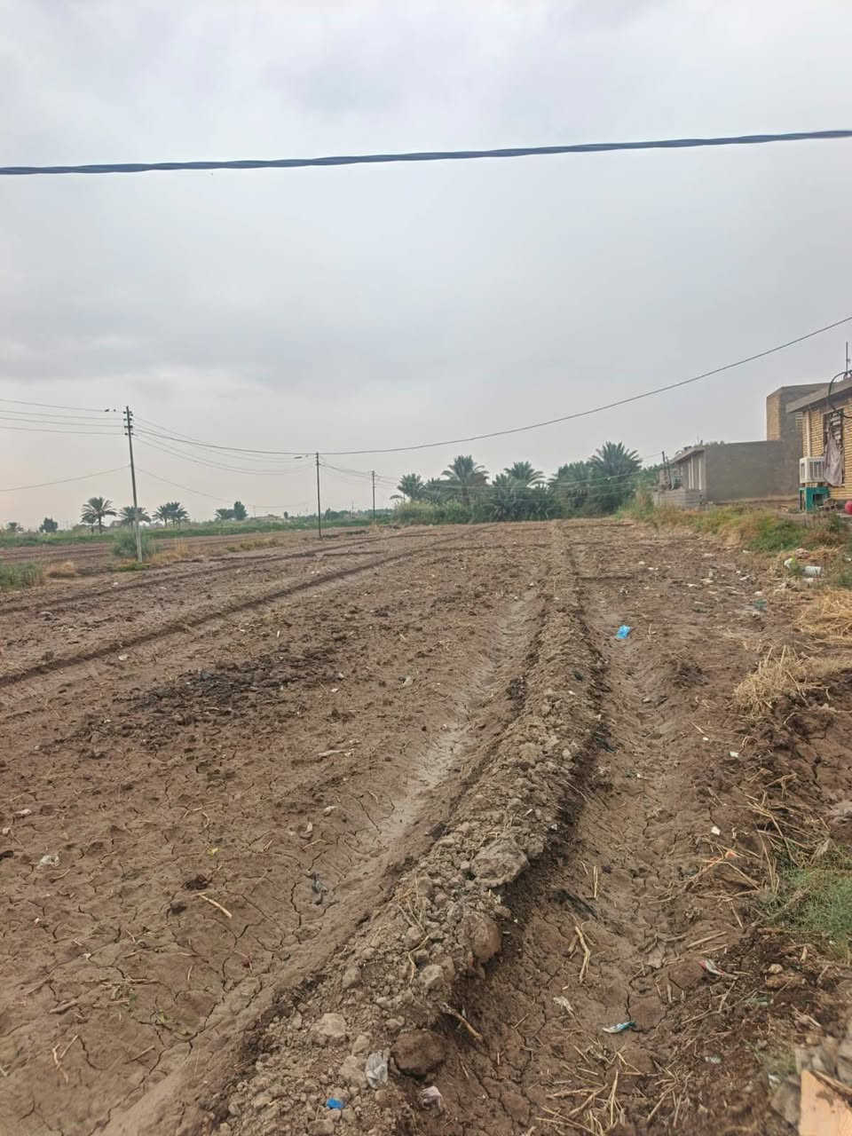 أرض زراعية • دونم ونص • كوت اليوسفيه