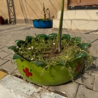 سنادين • قطع متعددة