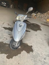 بغبغاء • رمبه • تايرات جدد