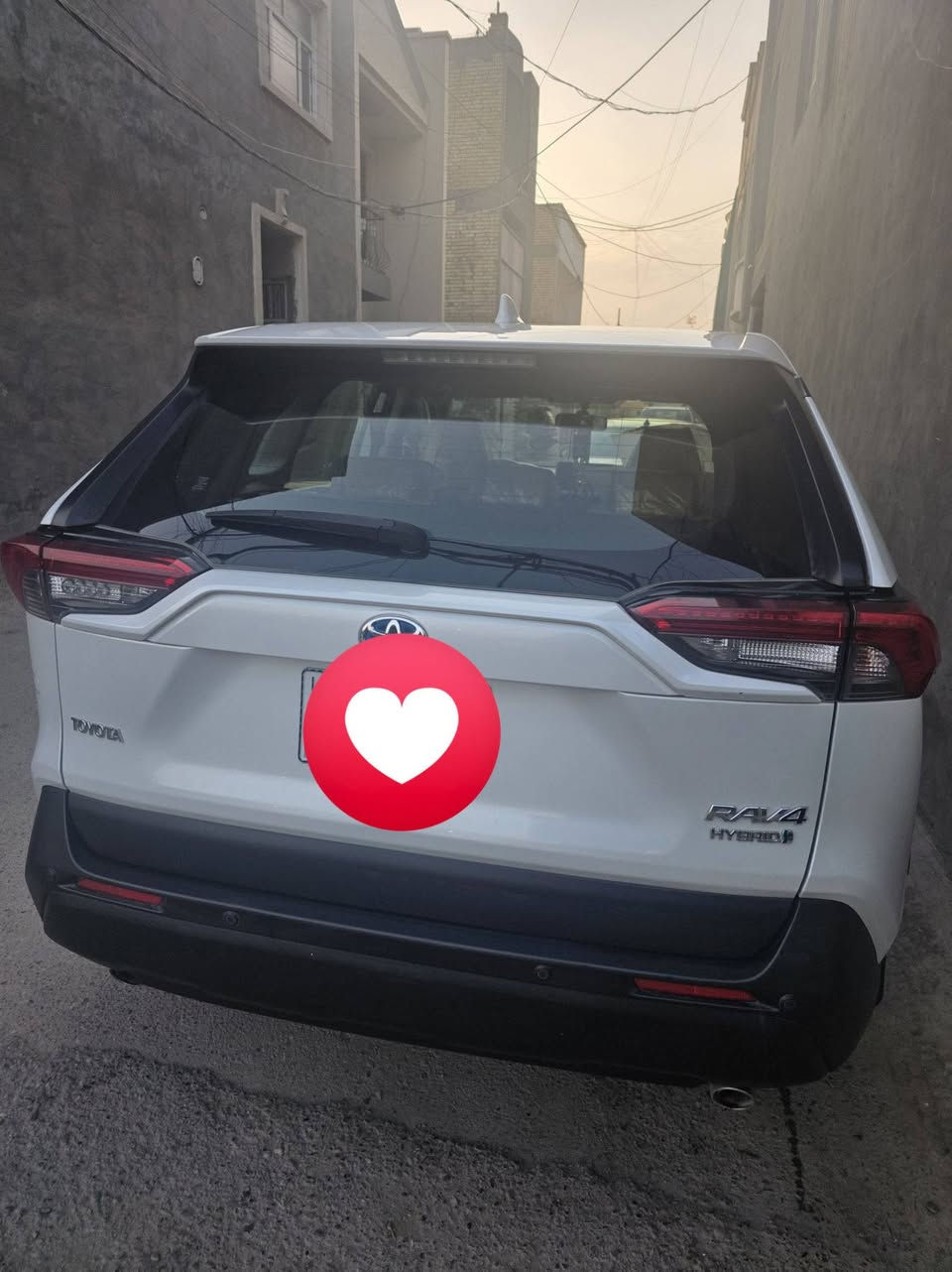 راف فور هايبرد • ٢٠٢٤ • مكفولة حادث