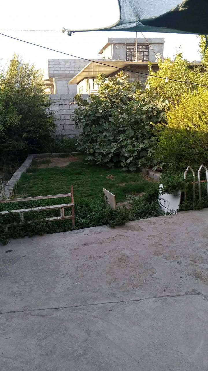 بيت للبيع بحي رشيد مساحته ٢٥٠ متر سقف سندويج غرفتين وهول ومطبخ ومضيف الاستفسار *********** يبعد عن شارع العام تقريبا 50 متر سعر مناسب

