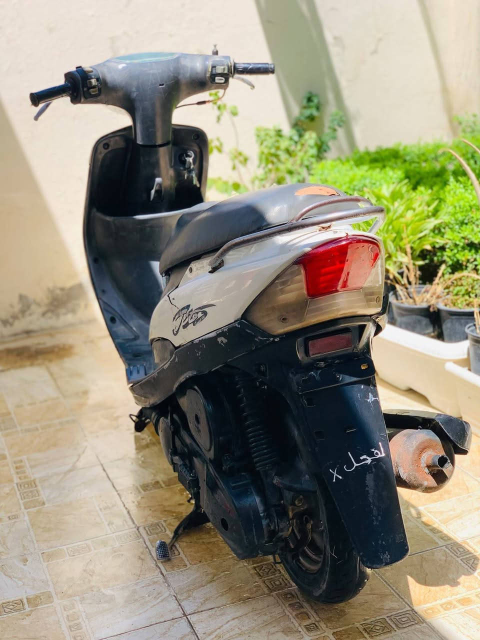 ماكس منغولي مامفتوحة ب400 وبيها مجال حله مركز/***********
